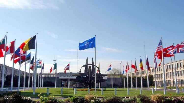 Офицер ВС США предрек роспуск НАТО из-за политики Трампа