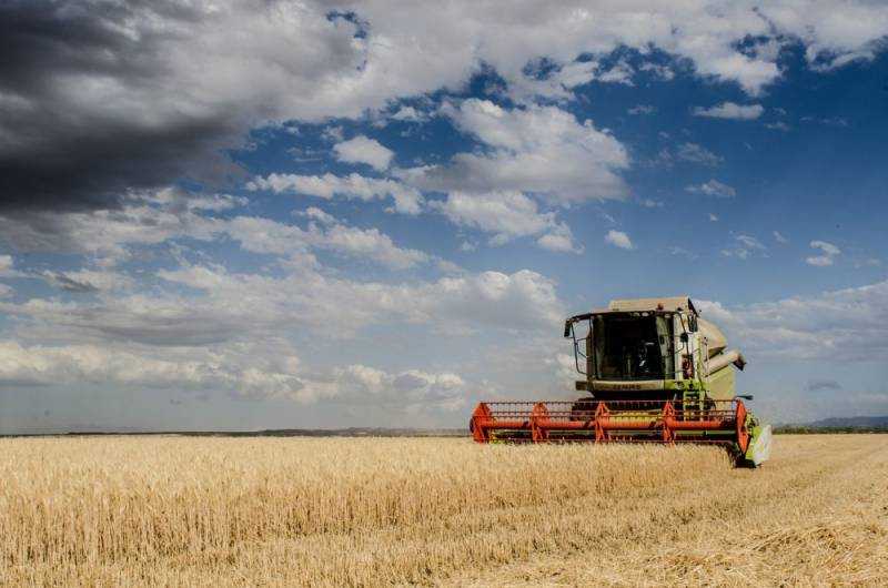 СМИ США: Через 8 лет от российского зерна будет зависеть большая часть мира