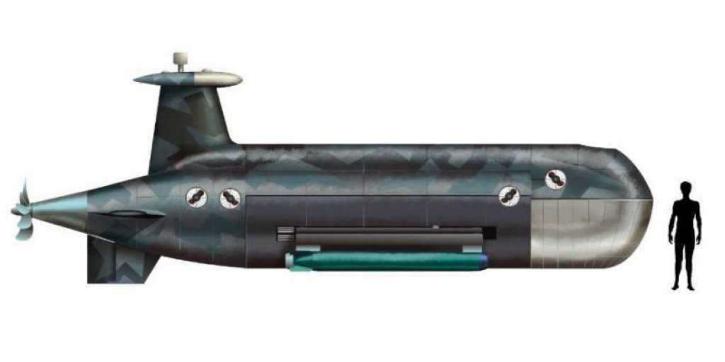 Military Watch: Российский «Цефалопод» призван топить американские атомные подлодки