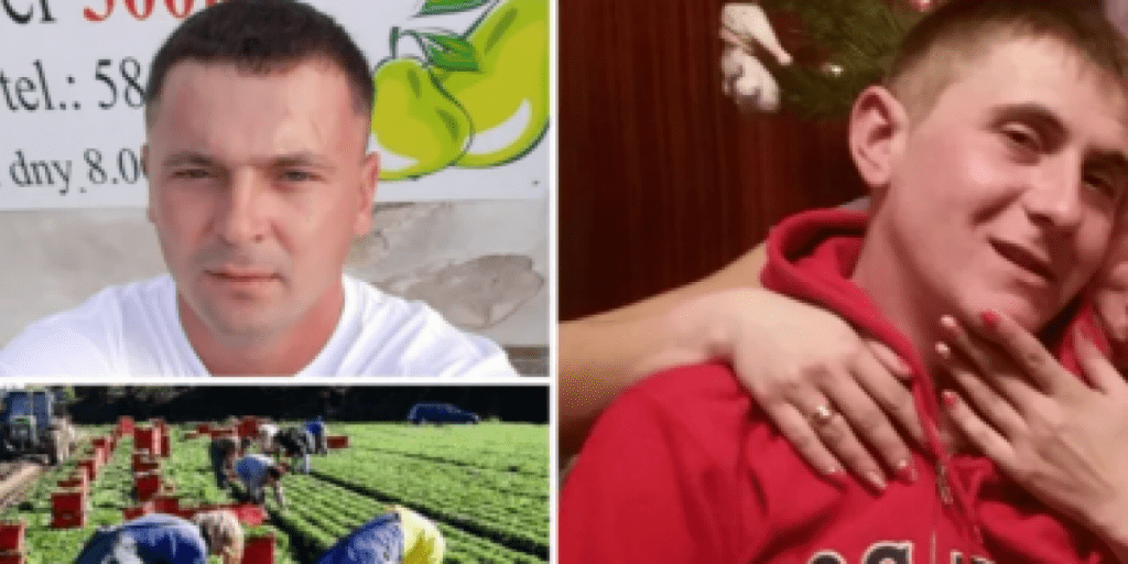 В Чехии в холодильнике нашли два трупа украинских заробитчан из Львовской области