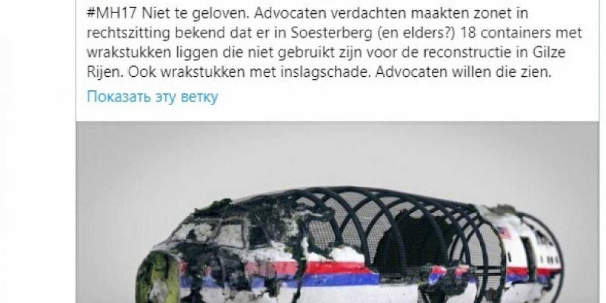 Гаага приняла «непопулярное» решение по обломкам МН17, которое спутает карты Западу