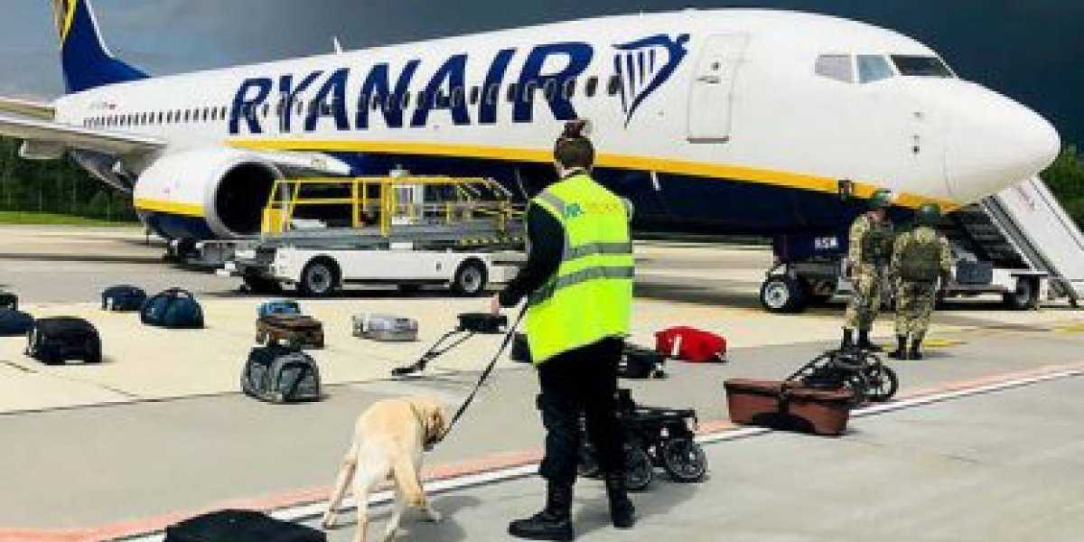 Париж нашел вину России в действиях Минска с лайнером Ryanair