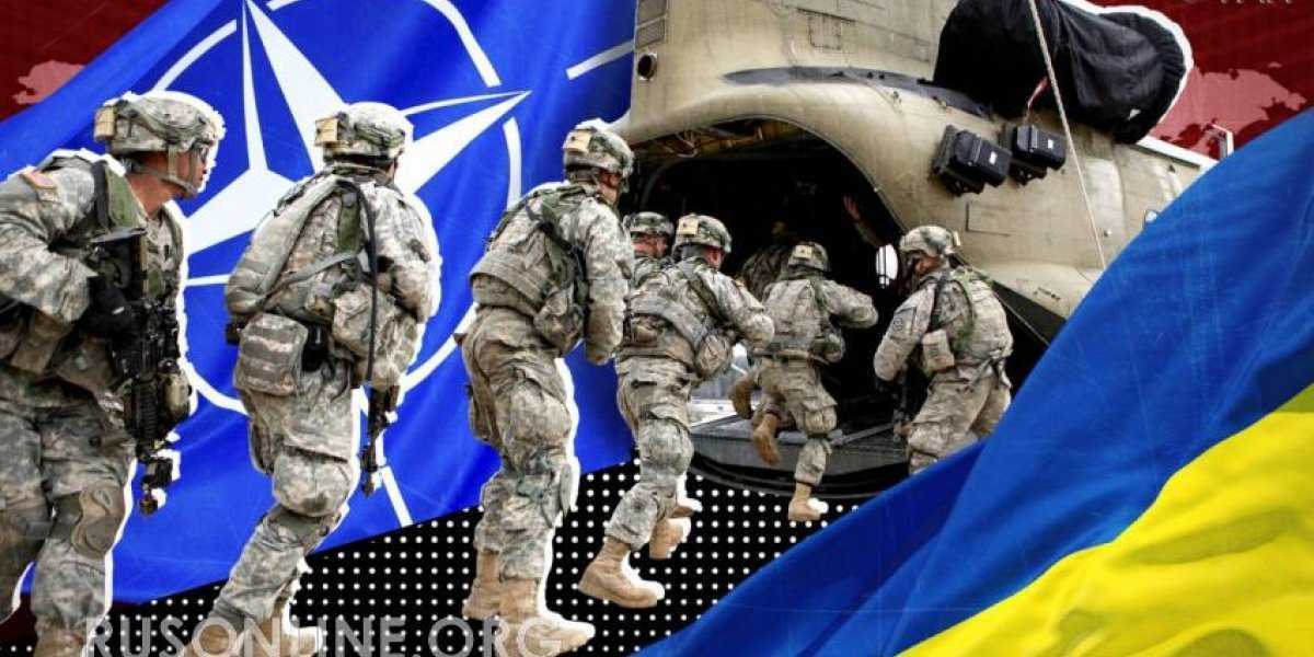 Весомый аргумент России: Вот почему Польша и НАТО не полезут на Украину