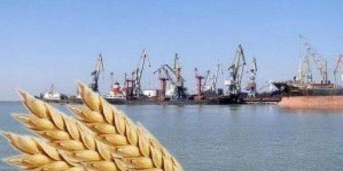 Тайны одесских трюмов: зачем Зеленский так спешит