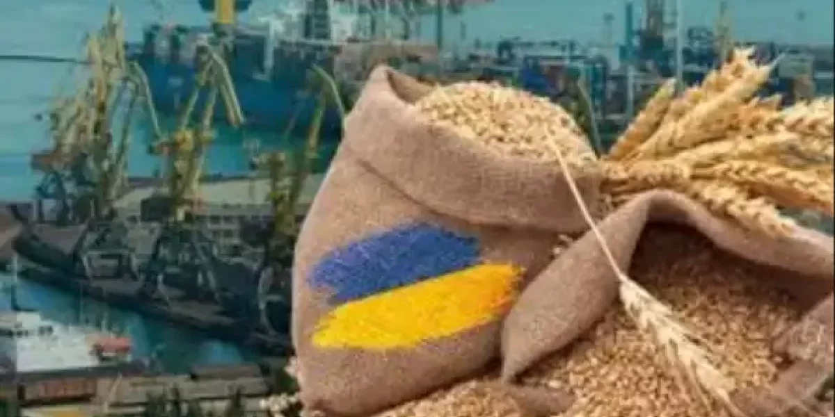 «Голодающие остались за бортом»: маршруты судов с украинским зерном выдали Запад с головой…
