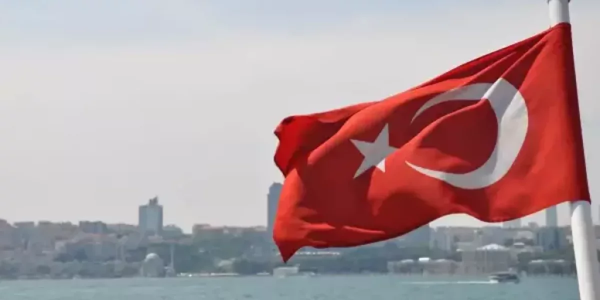 Нам еще учиться и учиться: Сатановский оценил дипломатическую трепку посла США в Стамбуле