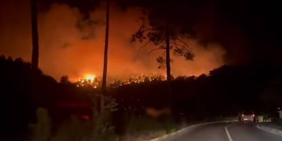 Пожары в Турции достигли курортных районов Антальи и Кемера