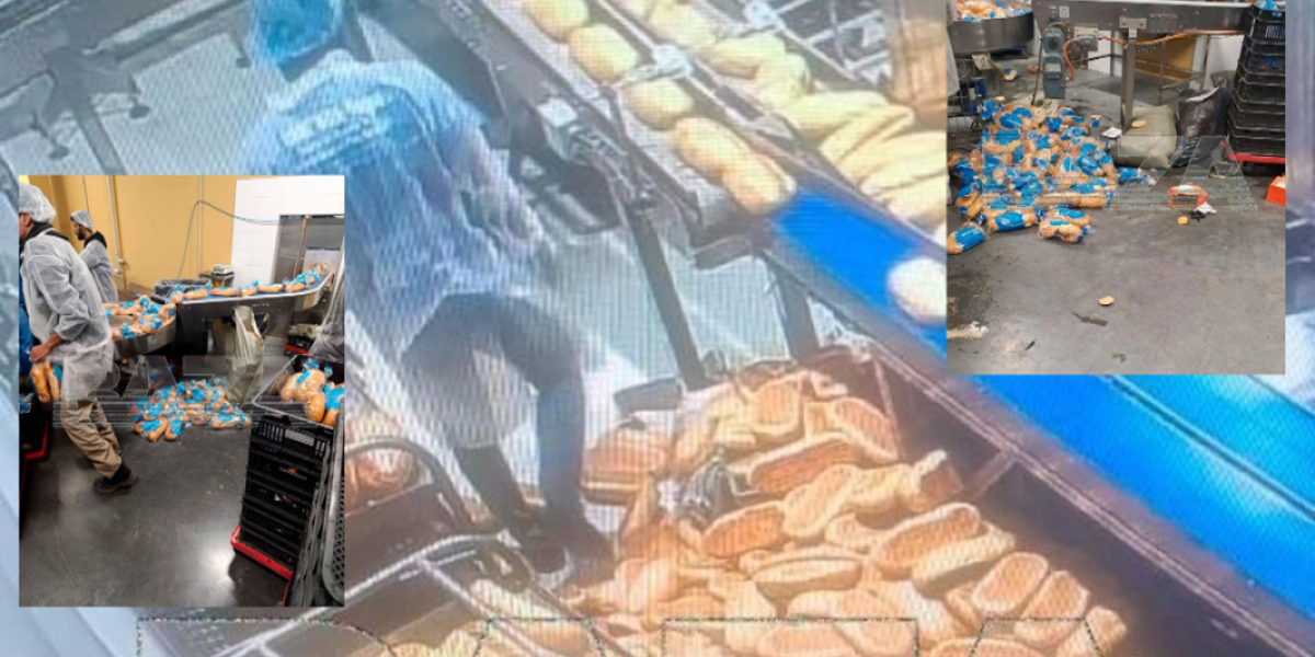 Гастарбайтеры ходят по хлебу, раскиданному на полу – фото с хлебозавода «Смак» в Екатеринбурге