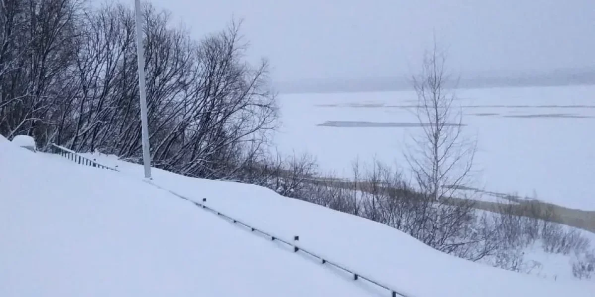 Весна отступила: Москву накрыли майские морозы с сюрпризом в виде снегопада