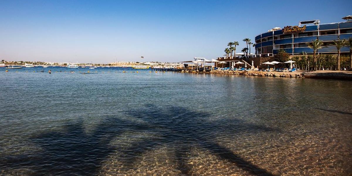 Российских туристов выселили из египетского отеля ради саммита по Газе Российских туристов выселили из египетского отеля ради саммита по Газе