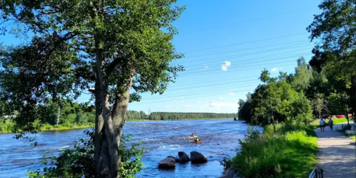 Россия выключила финнам рубильник. За что 53 года они получали от нас бесплатные 20 тыс. мегаватт-часов Россия выключила финнам рубильник. За что 53 года они получали от нас бесплатные 20 тыс. мегаватт-часов