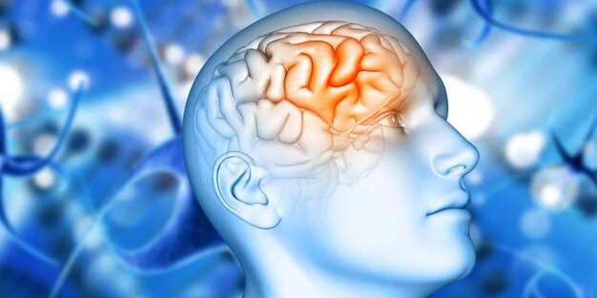 Секретный рецепт молодости: ученые рассказали, какие простые привычки омолаживают мозг на восемь лет Секретный рецепт молодости: ученые рассказали, какие простые привычки омолаживают мозг на восемь лет