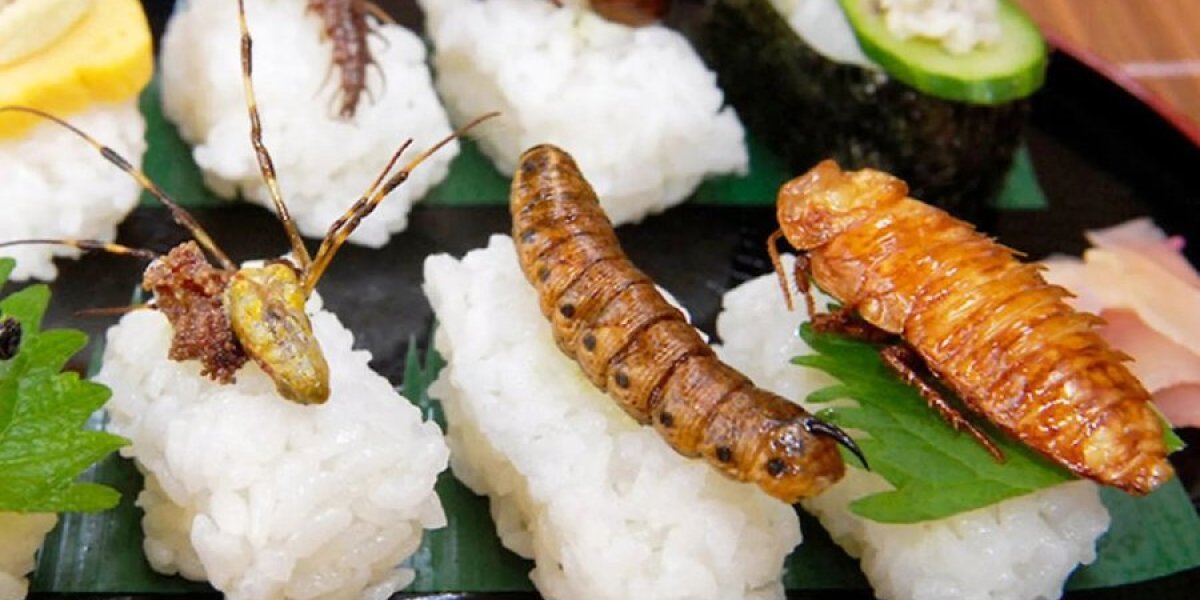 Червячкам и тараканам повезло: в Европе провалился проект по переводу населения с мяса на насекомых Червячкам и тараканам повезло: в Европе провалился проект по переводу населения с мяса на насекомых