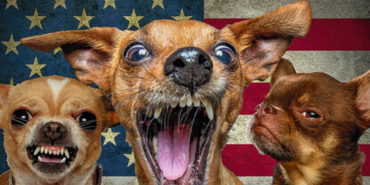 Прибалтика научит Европу умирать за НАТО Прибалтика научит Европу умирать за НАТО