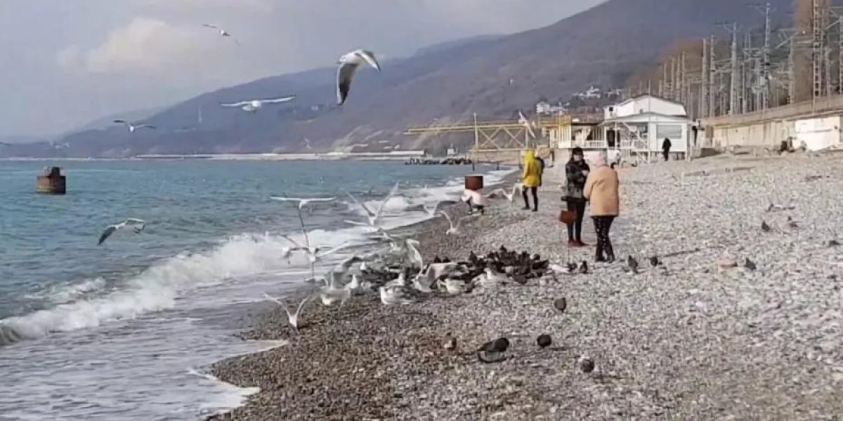 Россиянка, переехавшая в Сочи, раскрыла обратную сторону курортной жизни Россиянка, переехавшая в Сочи, раскрыла обратную сторону курортной жизни